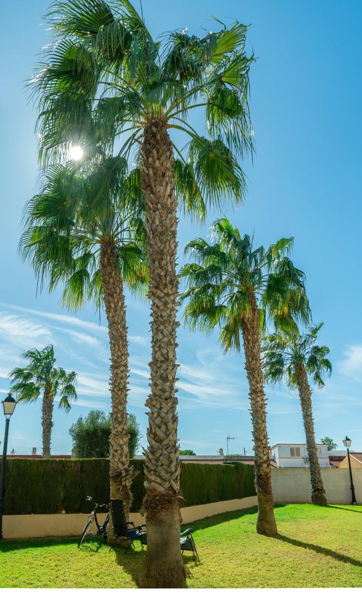 Apartamento Planta baja en Club Salino con piscina comunitaria Torrevieja Exterior foto